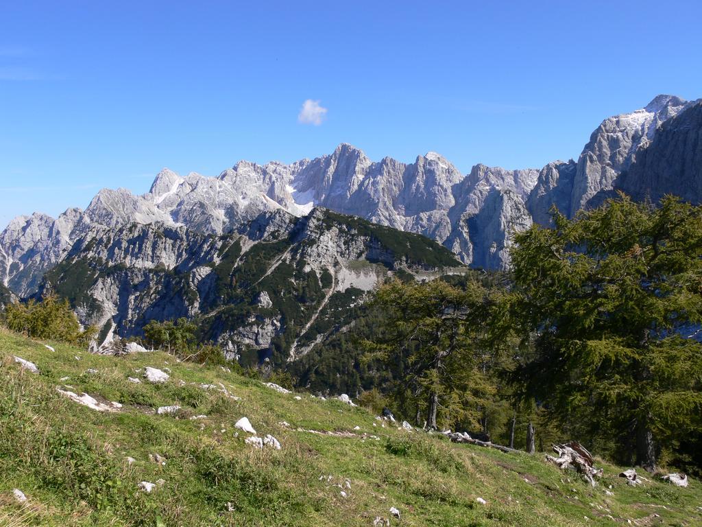 Pod Ponco Apartments Kranjska Gora Bagian luar foto