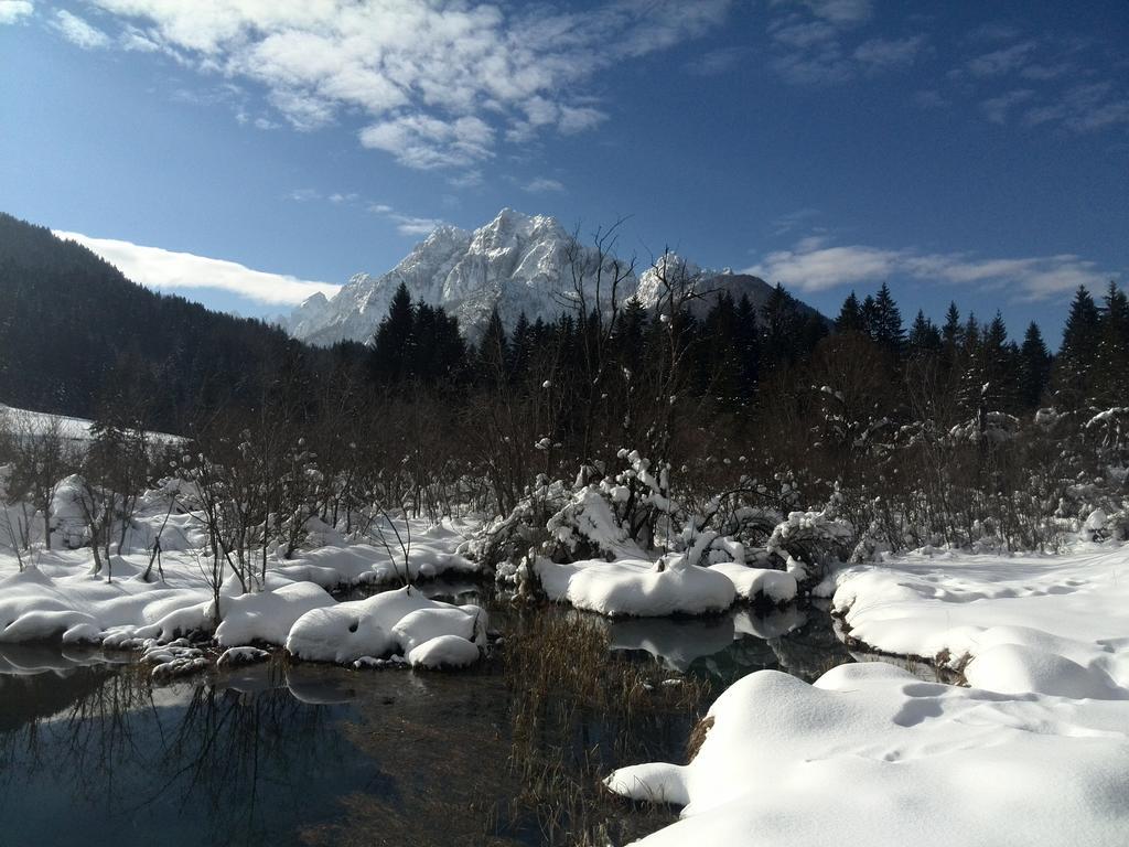 Pod Ponco Apartments Kranjska Gora Bagian luar foto