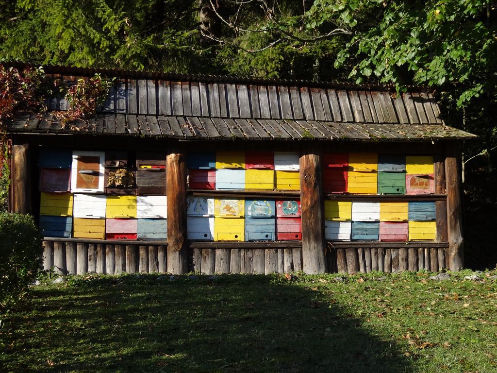 Pod Ponco Apartments Kranjska Gora Bagian luar foto